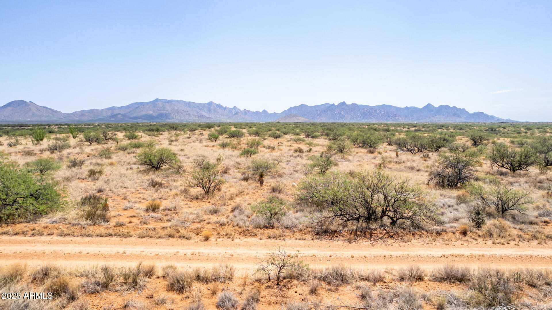 0 East Cougar Trail, Unit 98 St. David, AZ 85630 - Photo 7 of 40 a view of lake with mountain in the background