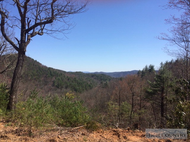Lot 9 Lost Ridge Road Blowing Rock, NC 28605 - Photo 4 of 6 Gallery Image 4