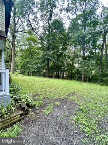 a view of a garden with a tree