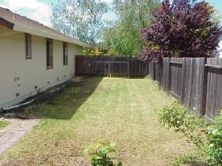 5500 Country Club Drive Rohnert Park, CA 94928 - Photo 7 of 9 a view of backyard and tree