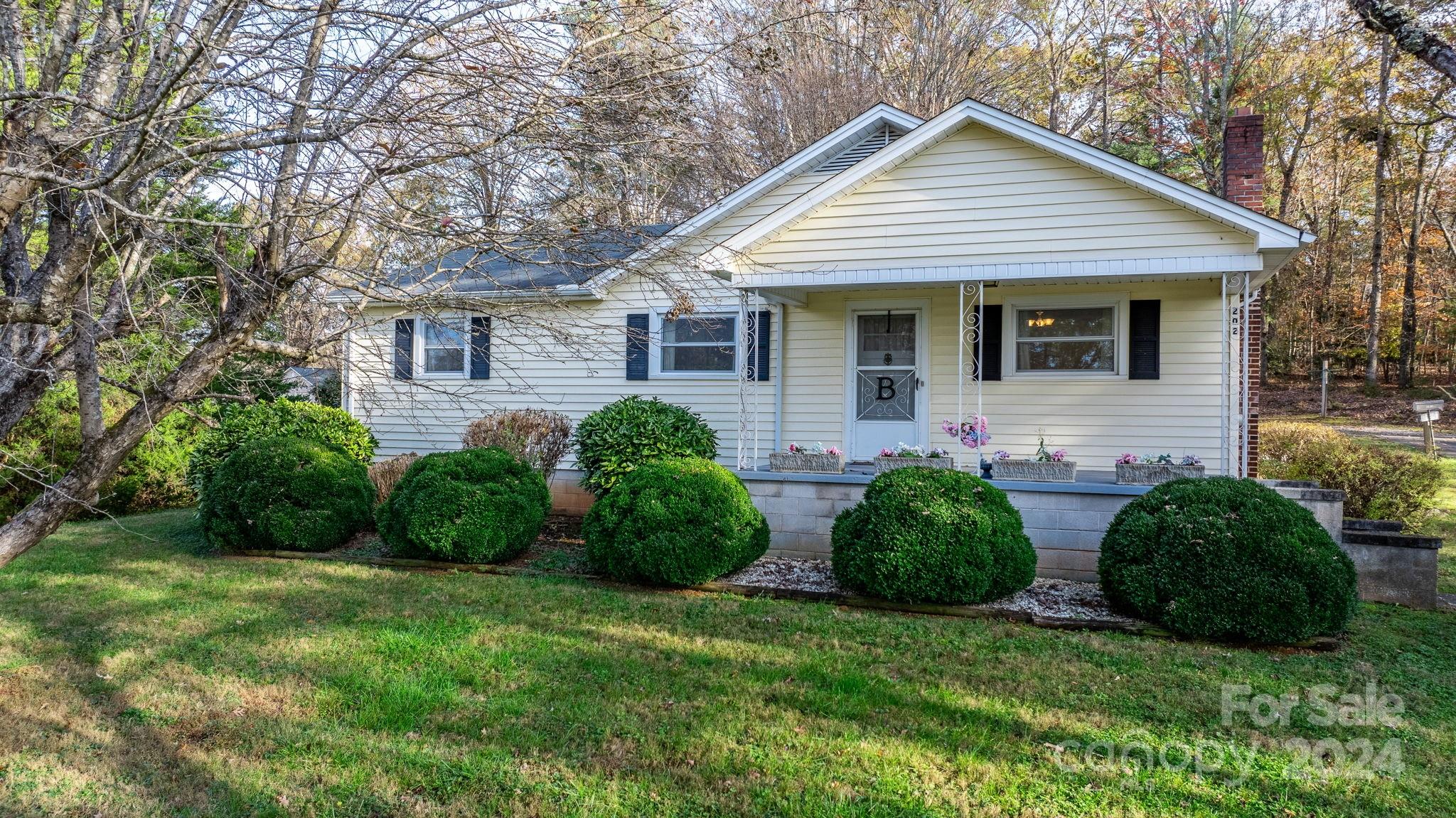 202 Drexel Road Morganton, NC 28655 - Photo 2 of 41