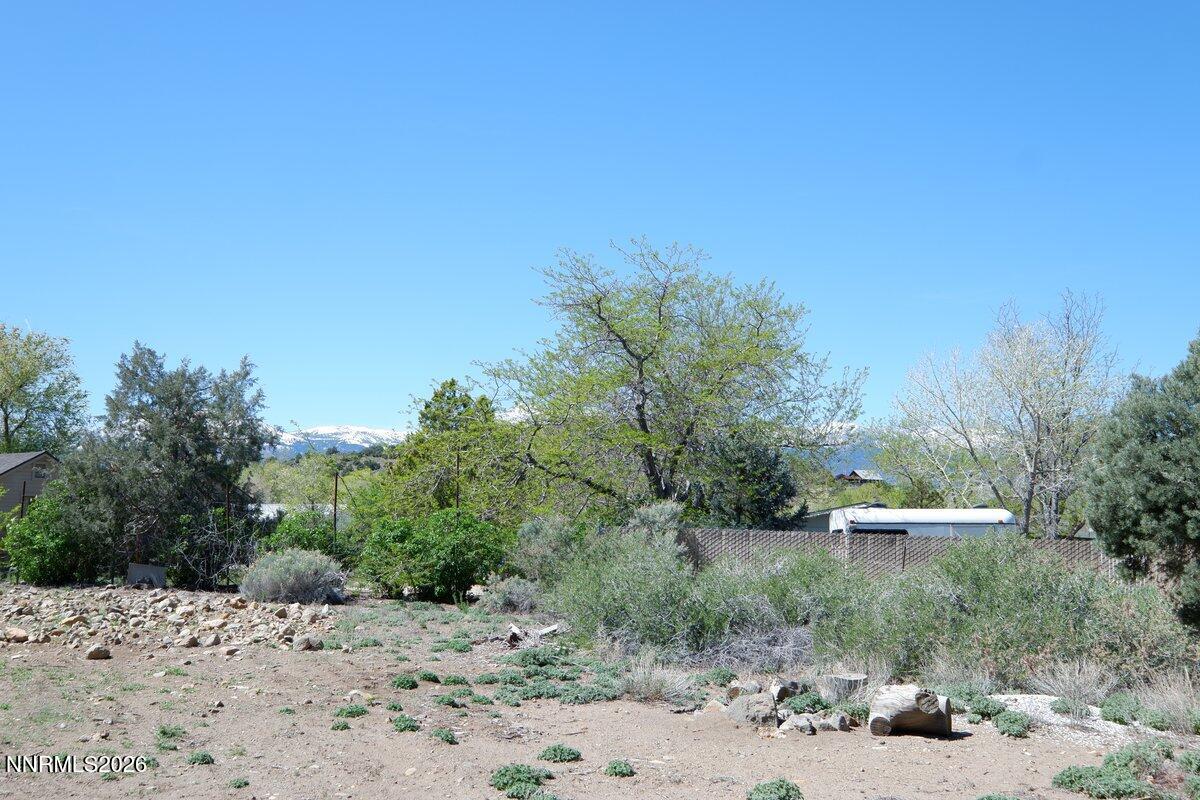 15587 Toll Road Reno, NV 89521 - Photo 40 of 41 View_From_Backyard.