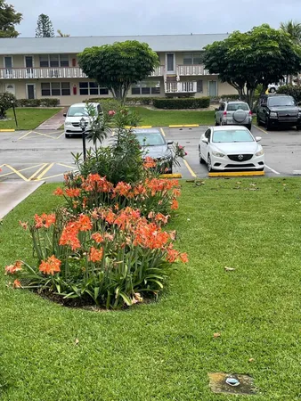 a view of a swimming pool and lounge chair