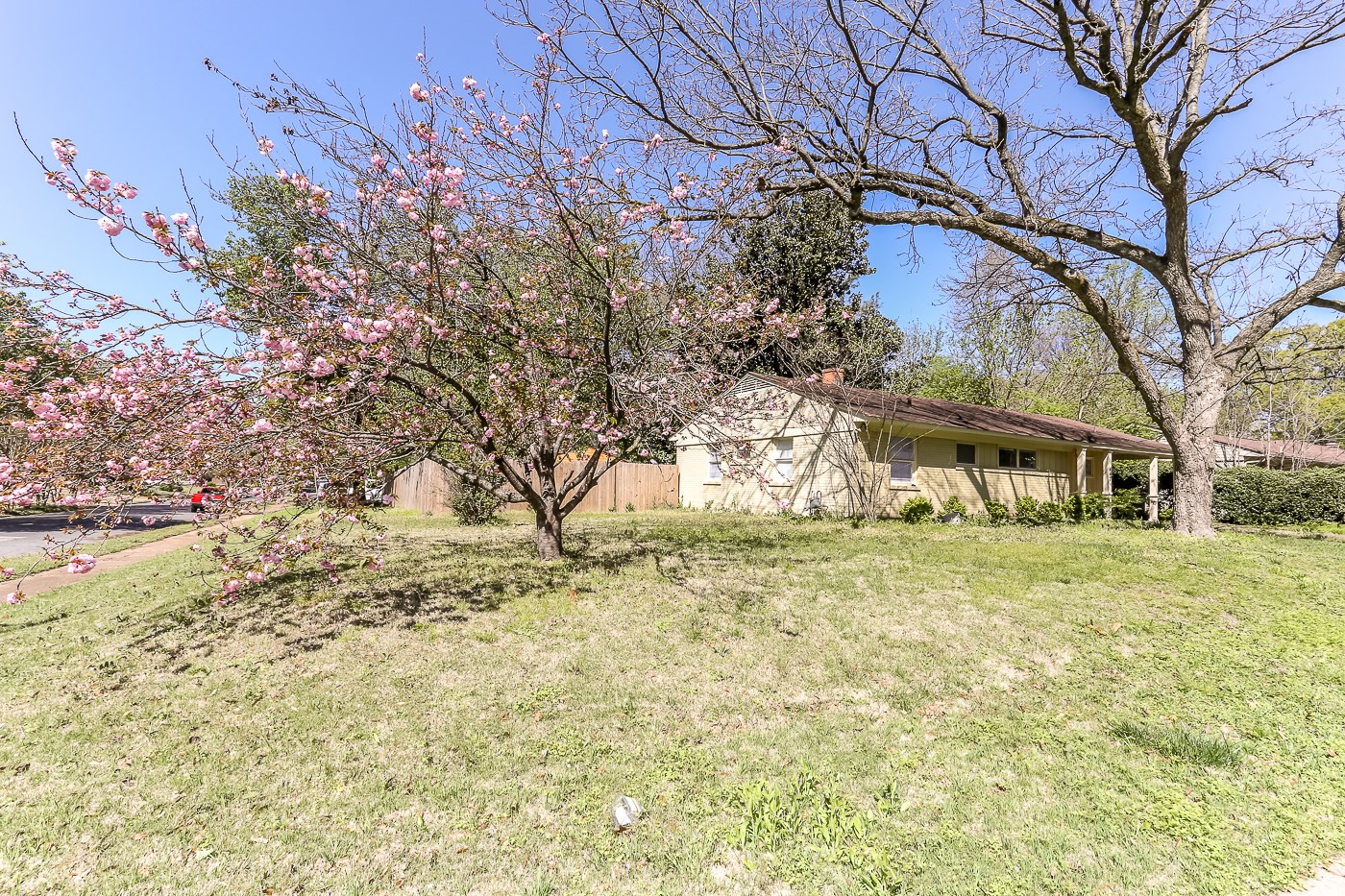 447 Conwell Road Memphis, TN 38120 - Photo 18 of 18 Gallery Image 18