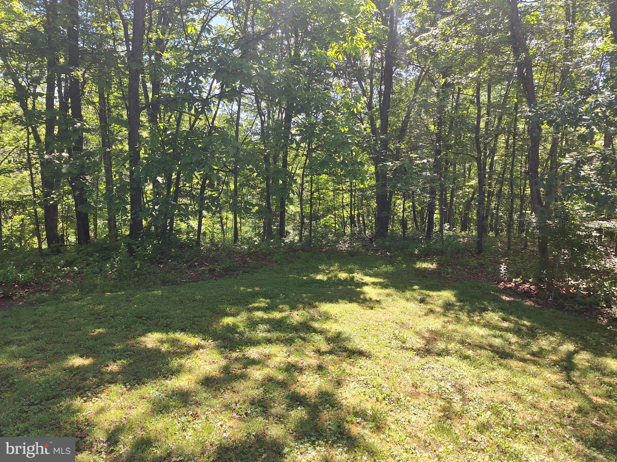 7968 Cromwell Road Three Springs, PA 17264 - Photo 14 of 16