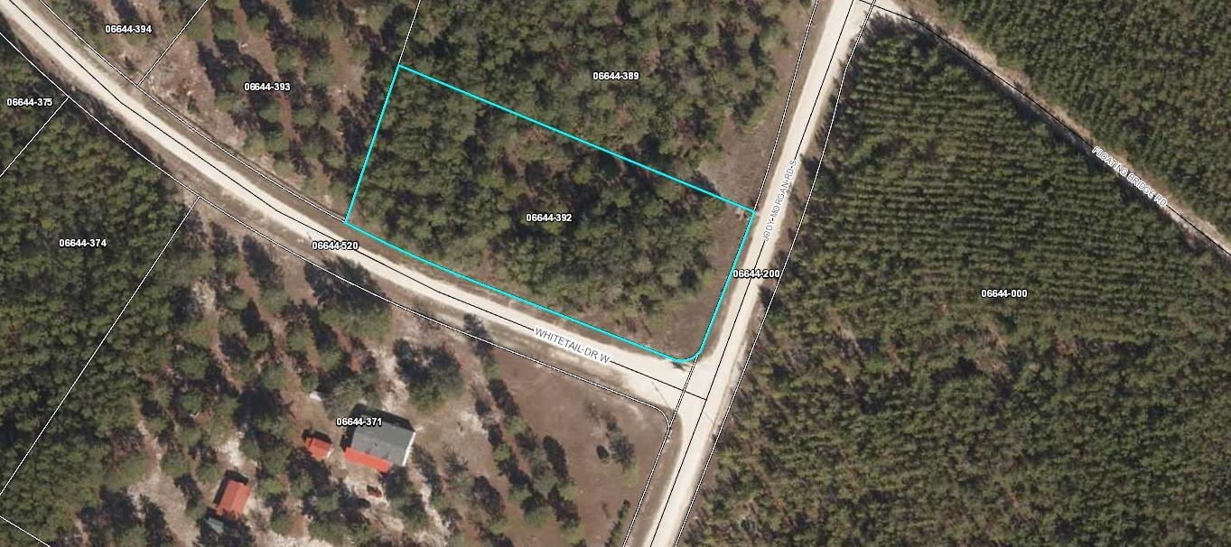 0 Jody Morgan Road Perry, FL 32348 - Photo 1 of 1 Gallery Image 1