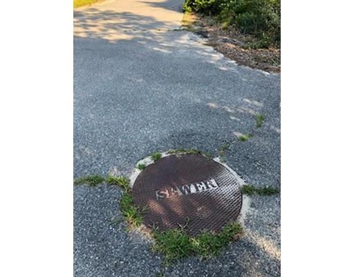 0 Broad Street Onset, MA 02558 - Photo 3 of 5 a close up of a plant in a room