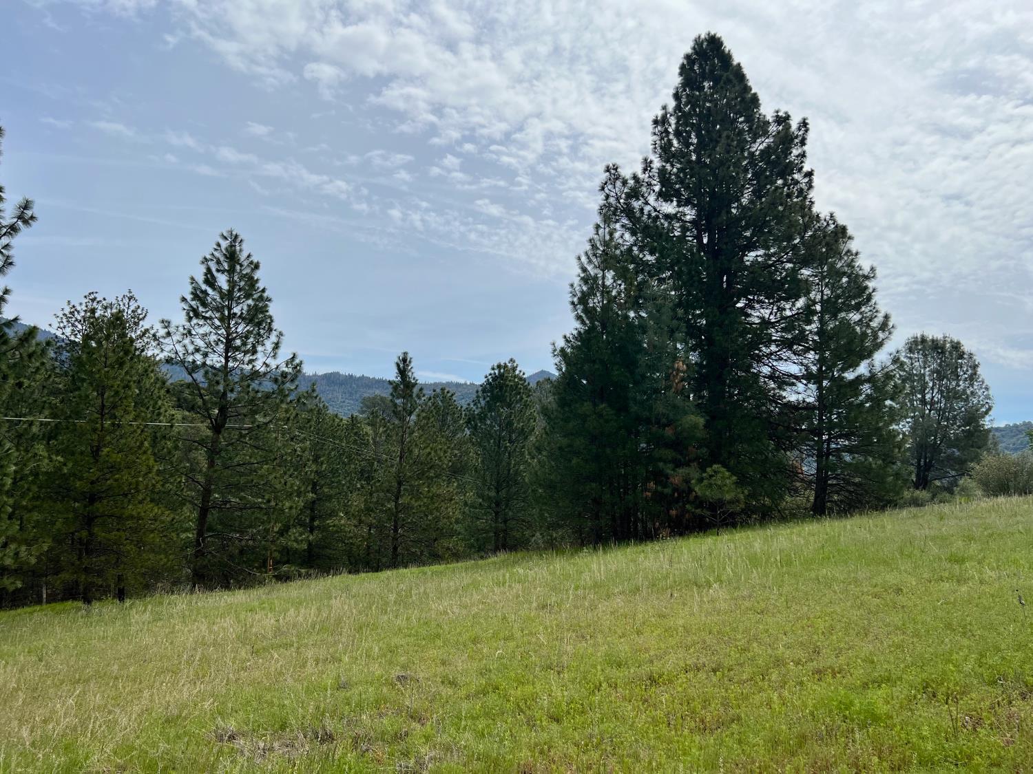 0 Watt Road Ahwahnee, CA 95338 - Photo 4 of 16