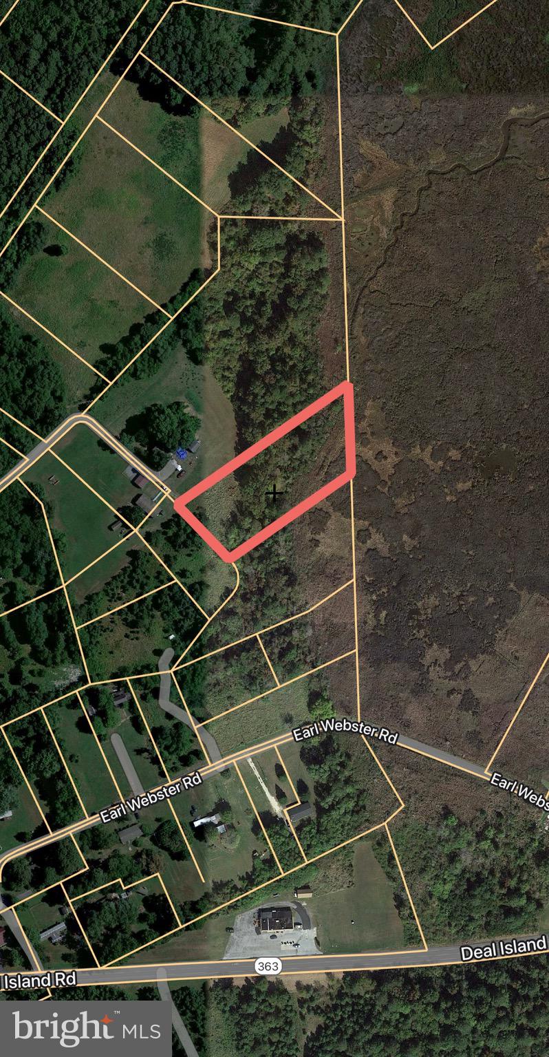 228 Fishhook Lane Deal Island, MD 21821 - Photo 5 of 10