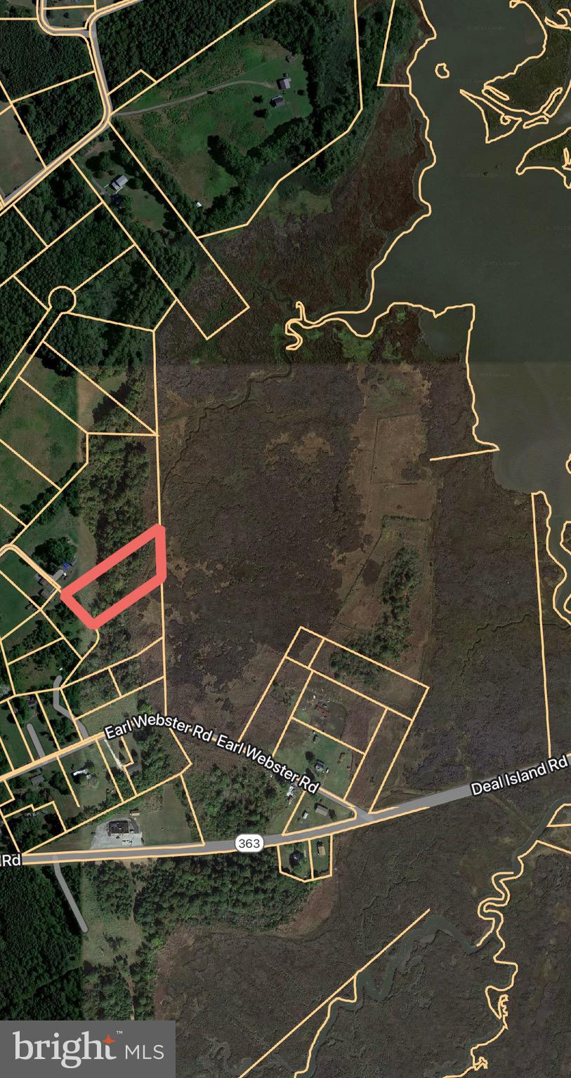 228 Fishhook Lane Deal Island, MD 21821 - Photo 6 of 10