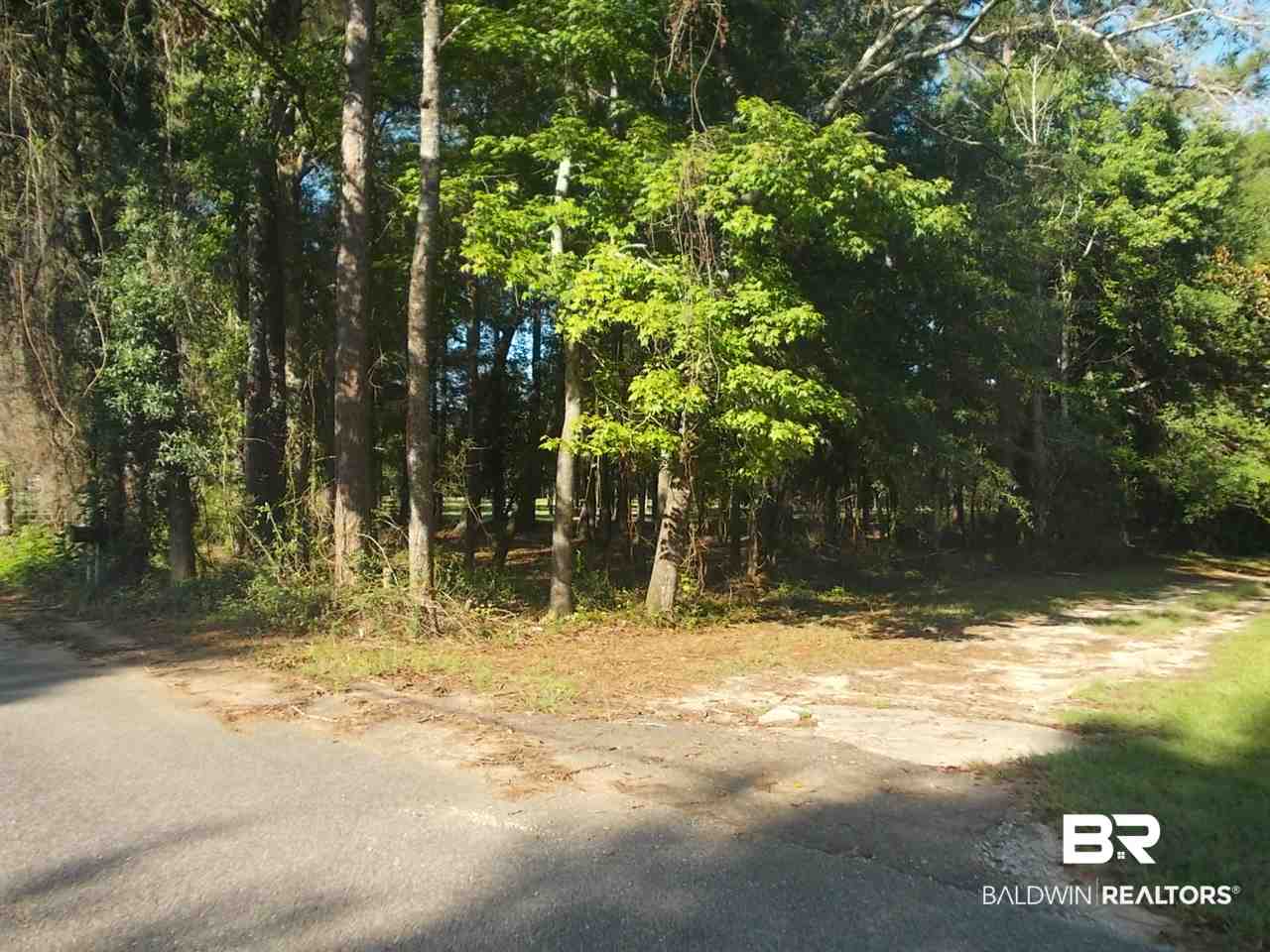 0 Ernest Patterson Road Robertsdale, AL 36567 - Photo 1 of 14