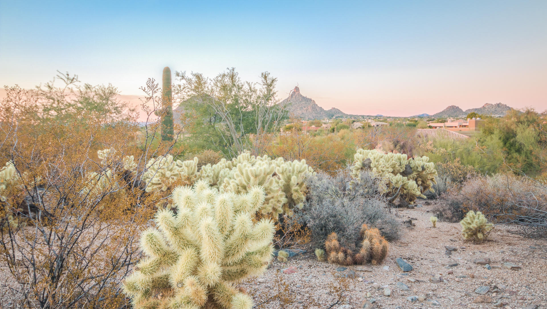 24200 North Alma School Road, Unit 14 Scottsdale, AZ 85255 - Photo 4 of 12 Pinnacle Peak