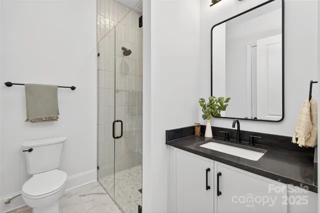 a bathroom with a granite countertop sink a toilet and shower
