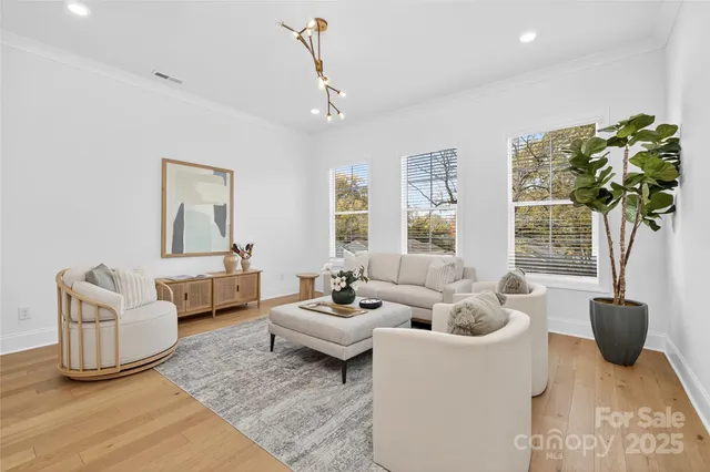a living room with furniture potted plant and windows