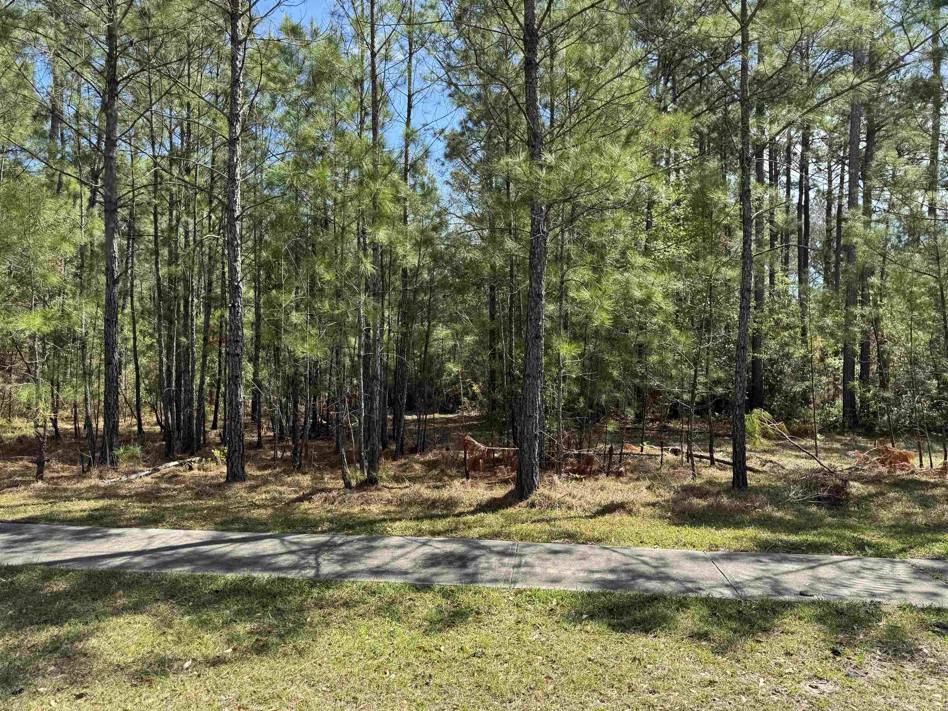 113 Pineberry Drive Georgetown, SC 29440 - Photo 1 of 13