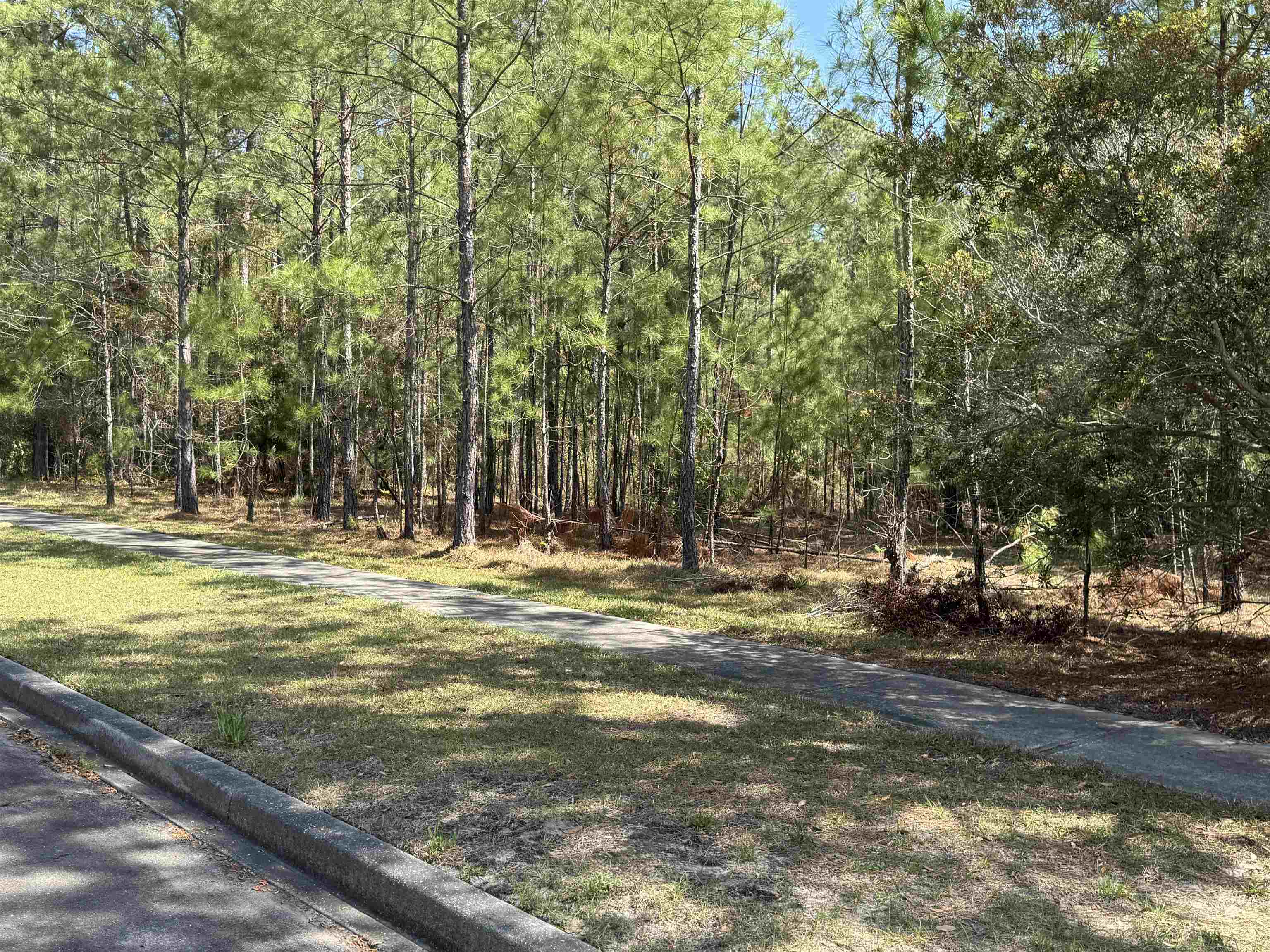 113 Pineberry Drive Georgetown, SC 29440 - Photo 2 of 13