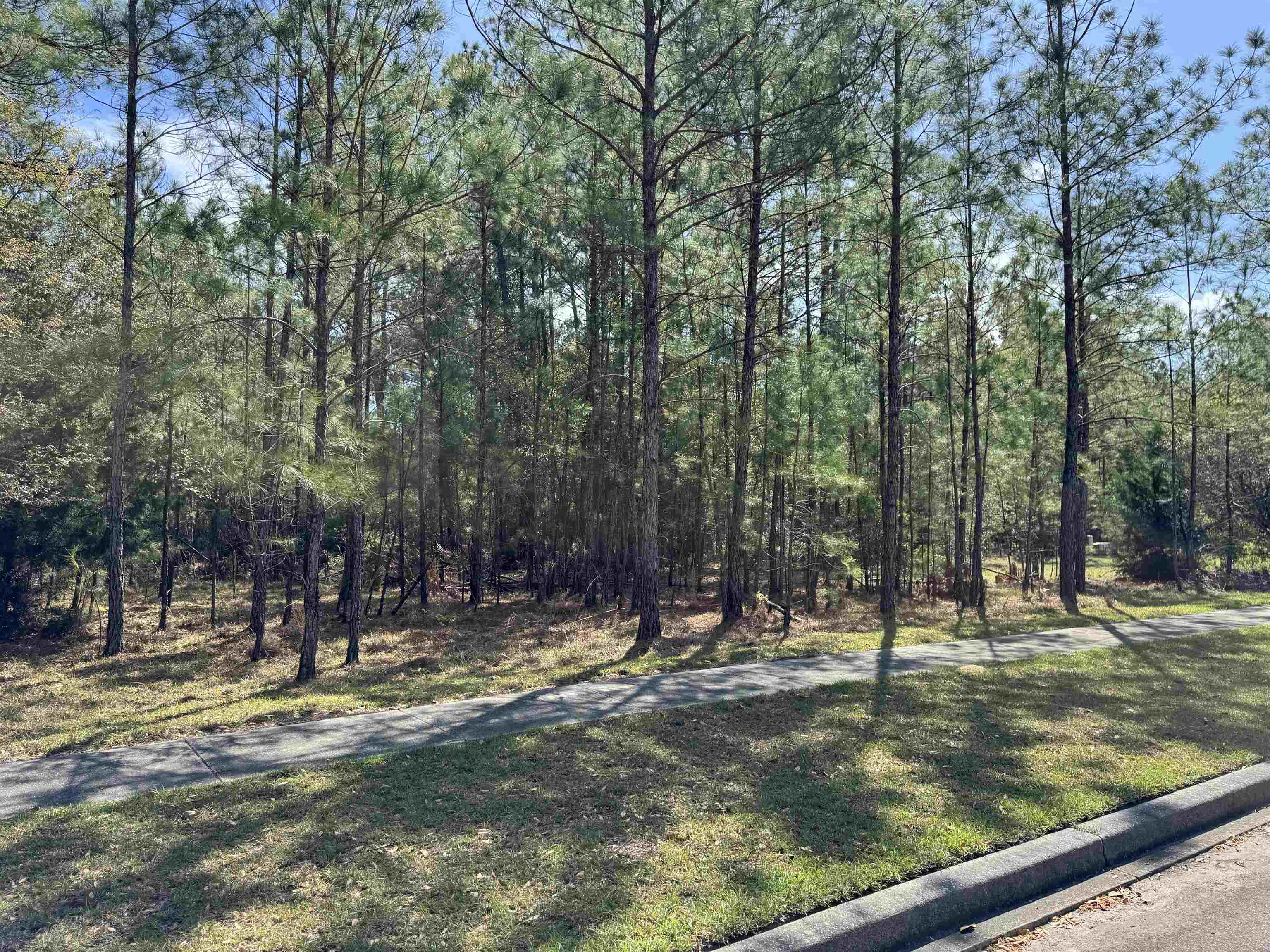 113 Pineberry Drive Georgetown, SC 29440 - Photo 3 of 13