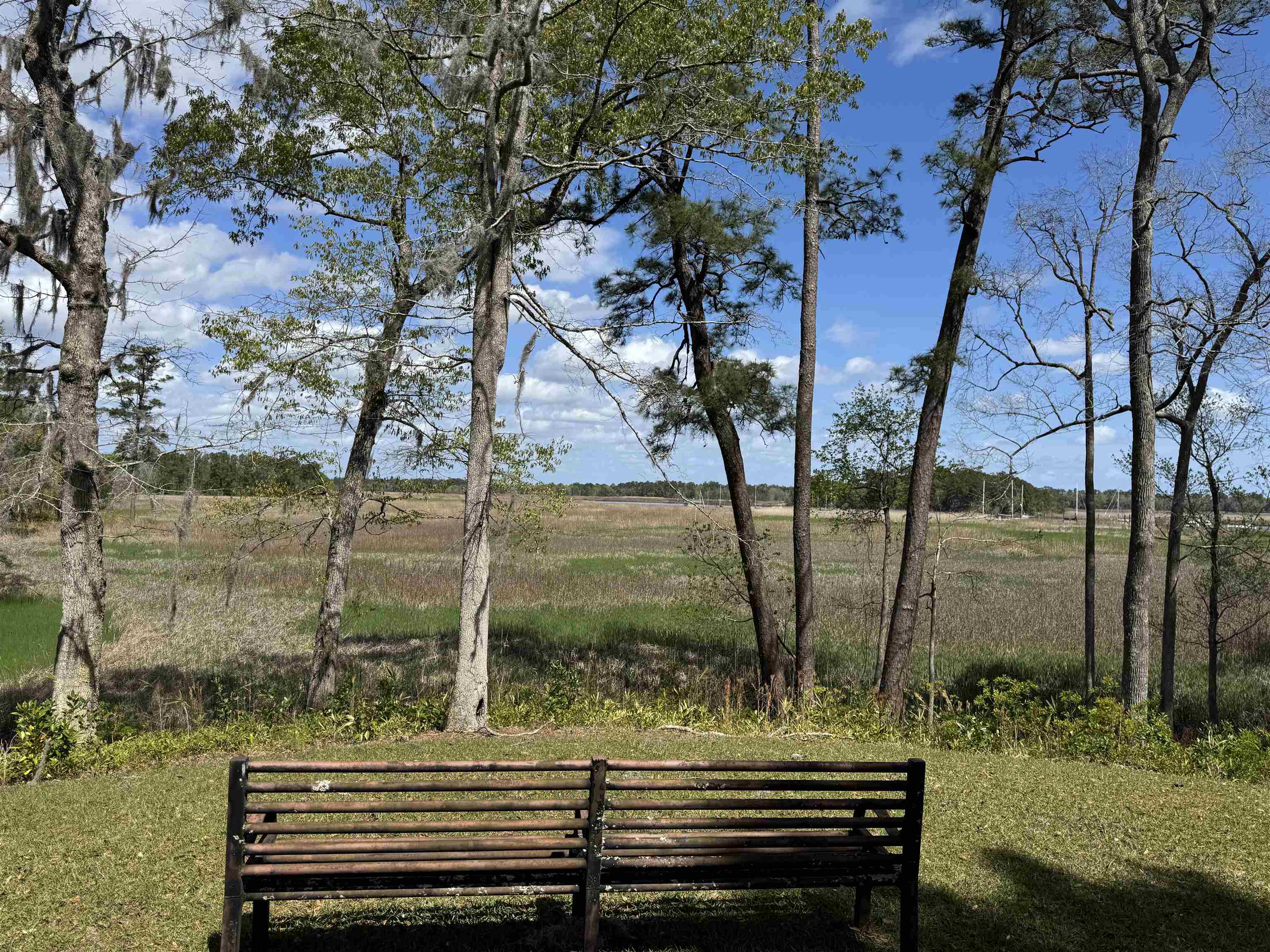 113 Pineberry Drive Georgetown, SC 29440 - Photo 5 of 13