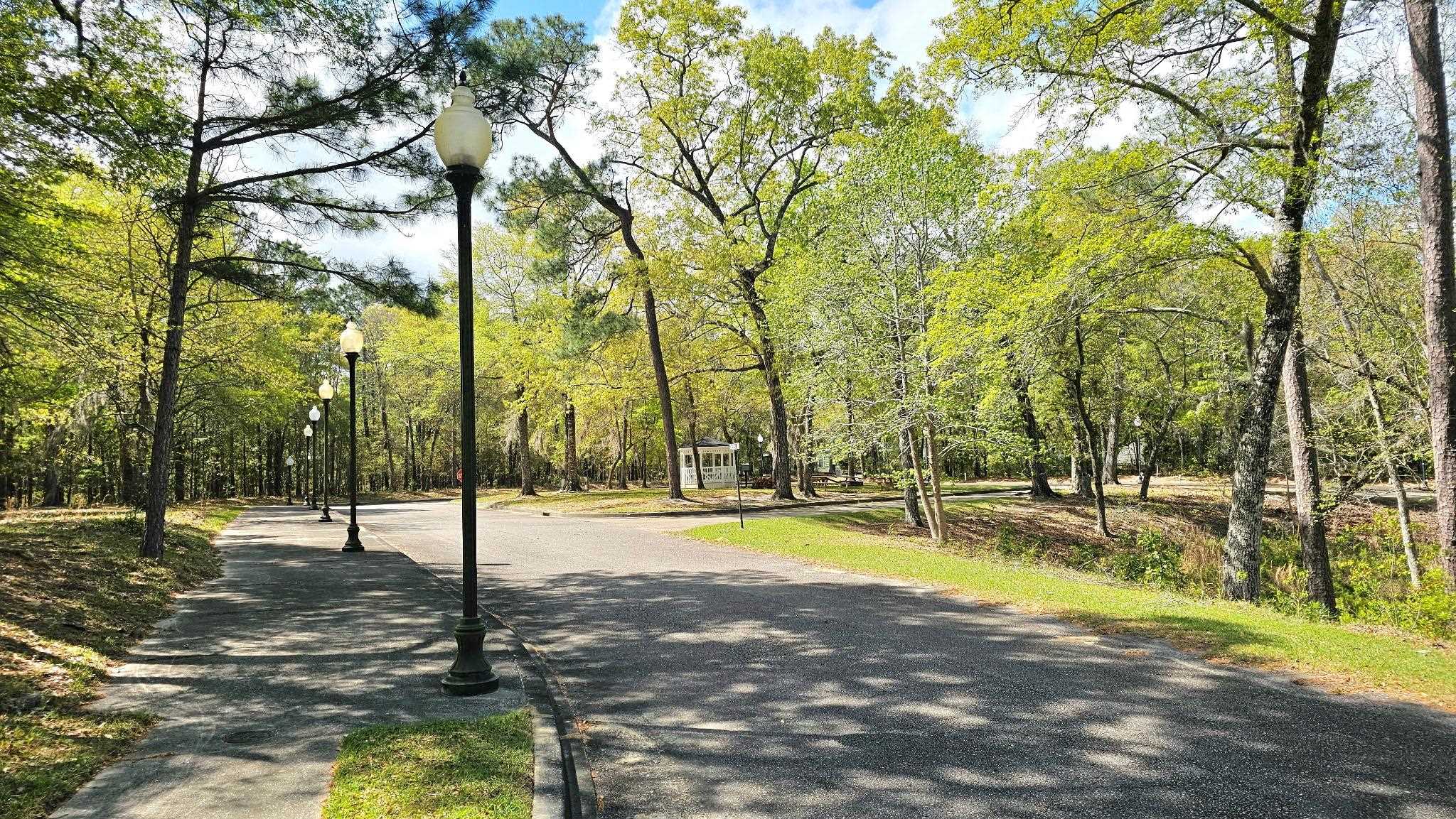 113 Pineberry Drive Georgetown, SC 29440 - Photo 6 of 13