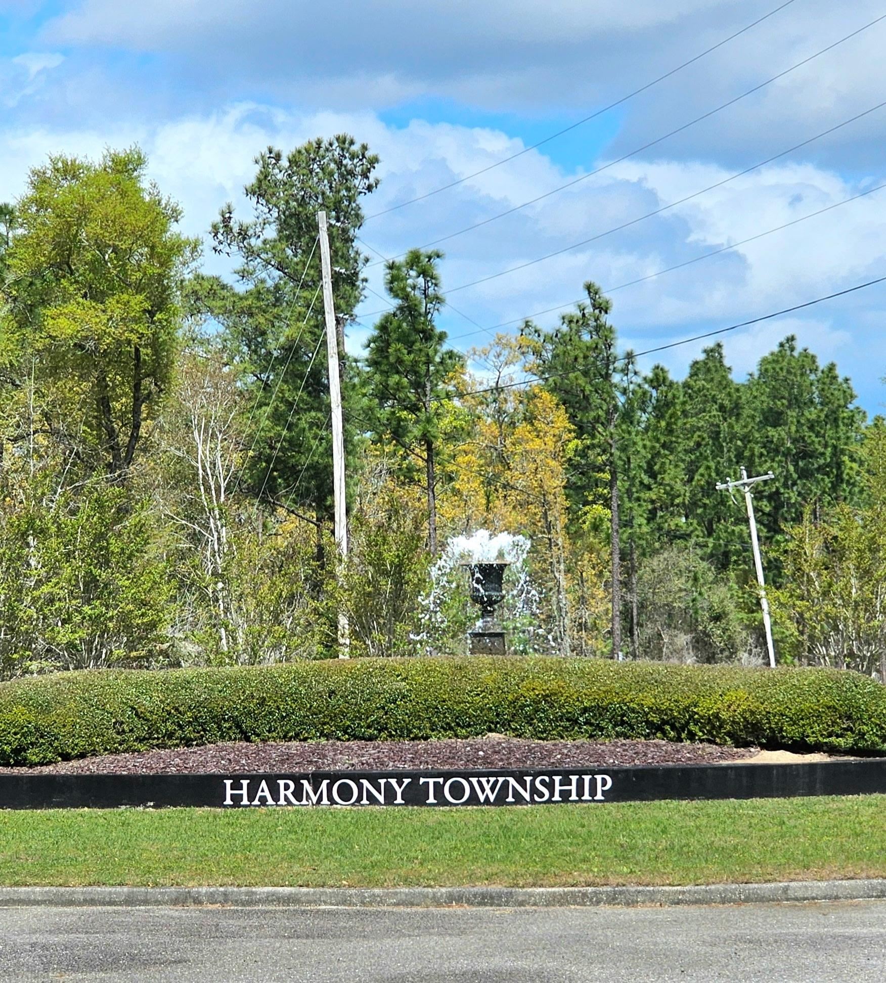 113 Pineberry Drive Georgetown, SC 29440 - Photo 8 of 13