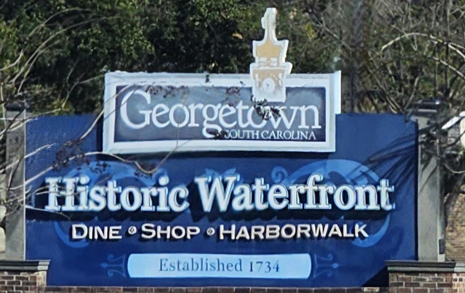 113 Pineberry Drive Georgetown, SC 29440 - Photo 10 of 13