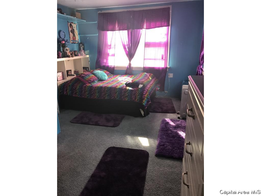 833 South Walnut Street Springfield, IL 62704 - Photo 20 of 36