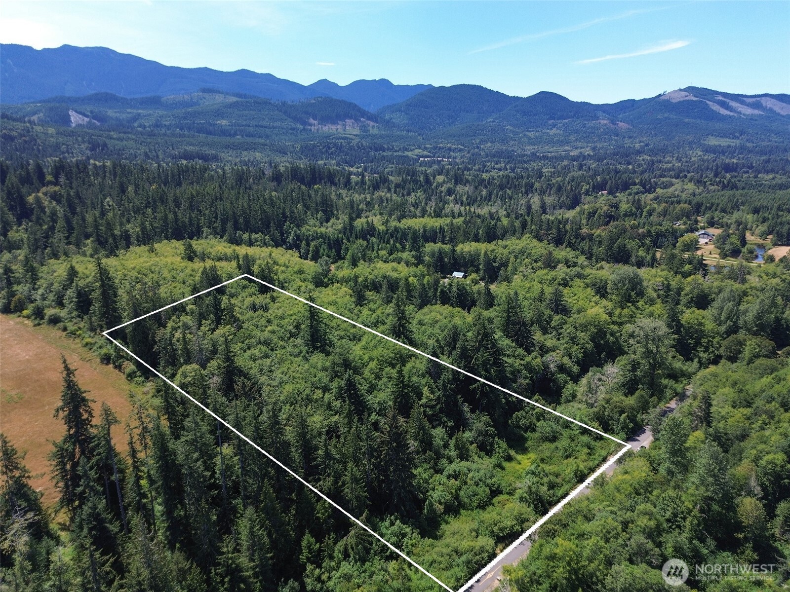 a view of a lush green hillside and a houses