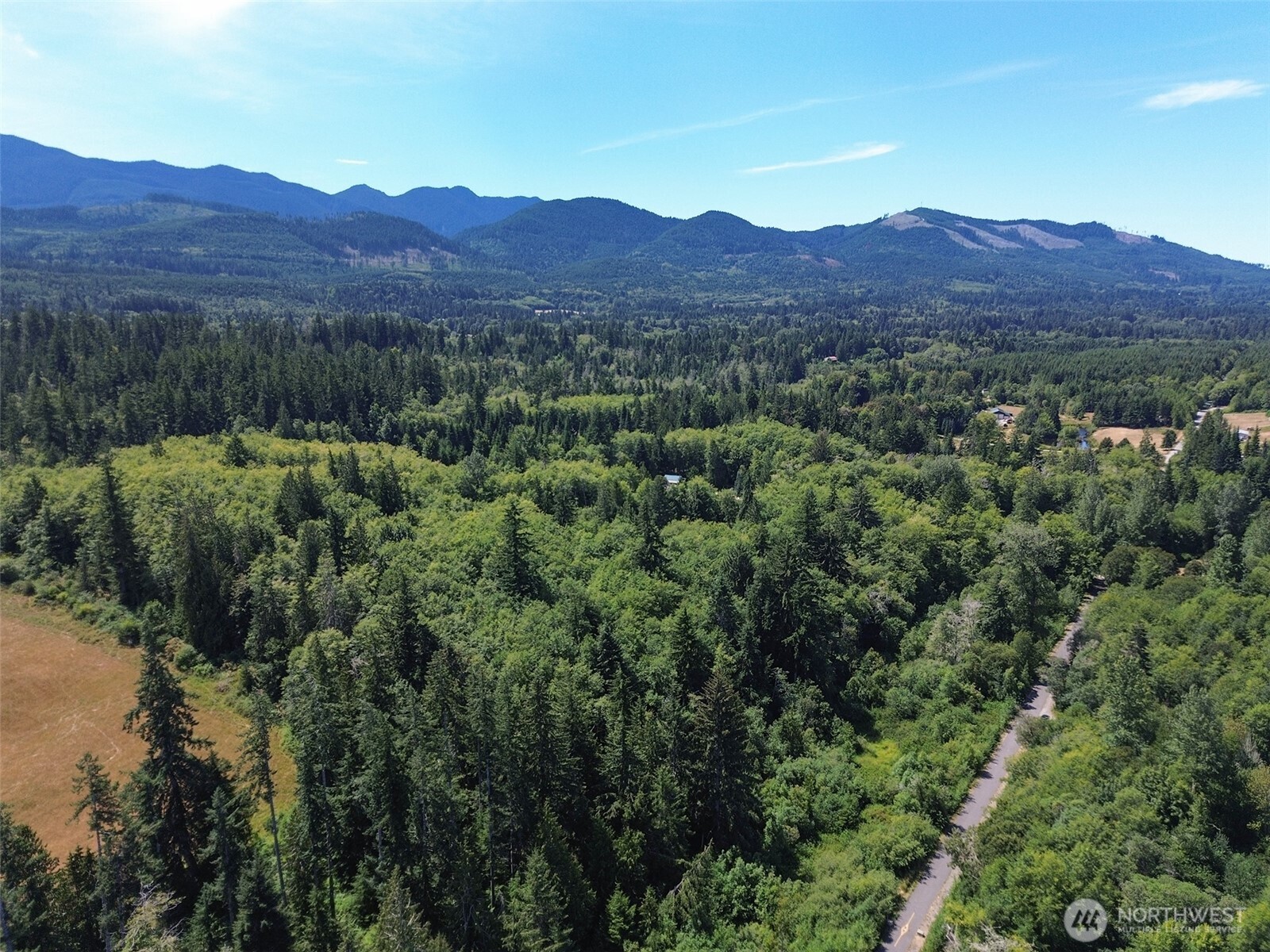 0 Thompson Road Port Angeles, WA 98363 - Photo 2 of 15 a view of a lush green hillside and a houses