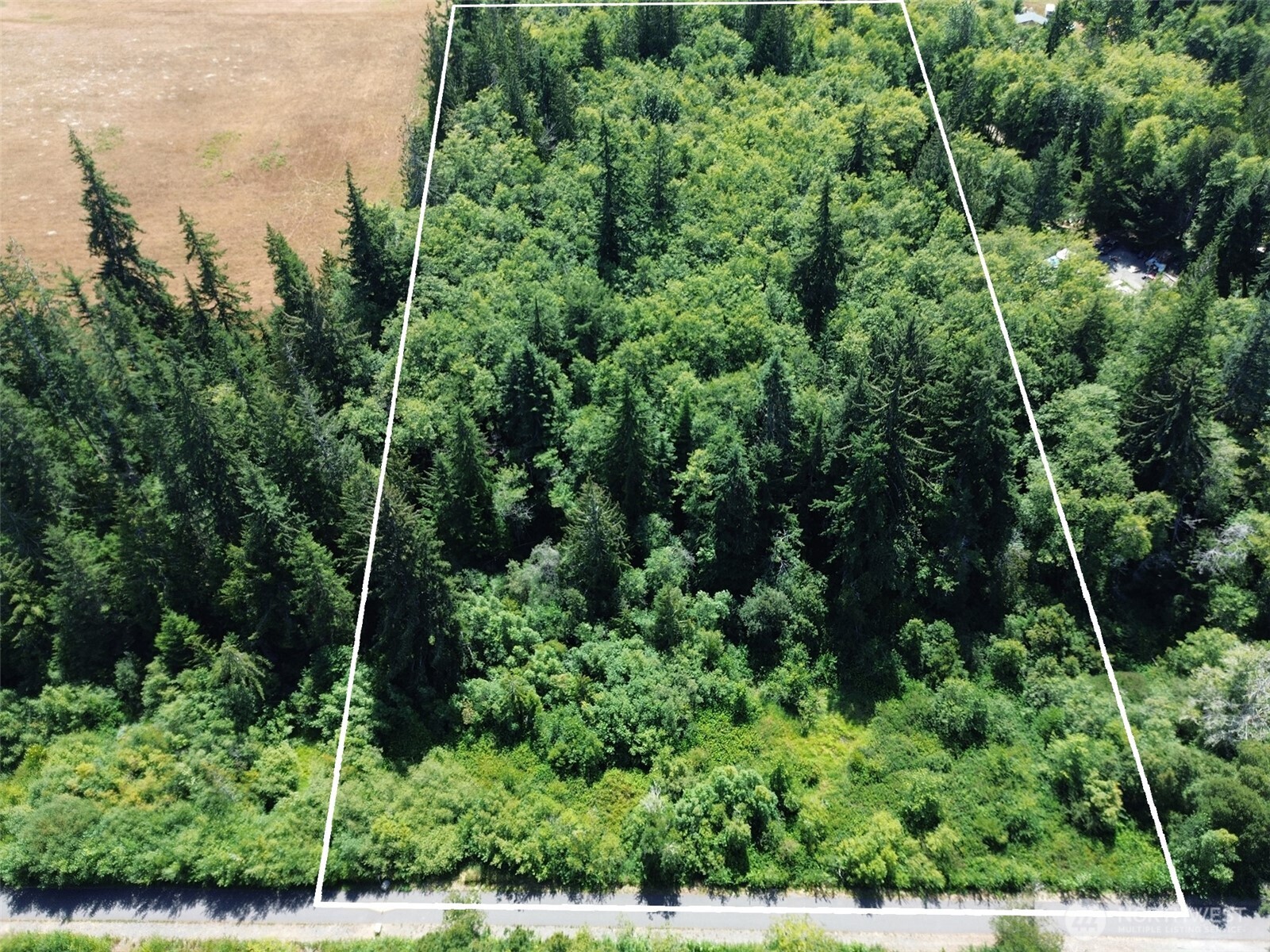 0 Thompson Road Port Angeles, WA 98363 - Photo 4 of 15 an aerial view of a forest with houses