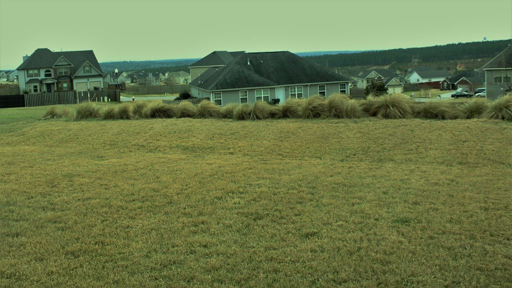 190 Pendulum Ridge Graniteville, SC 29829 - Photo 18 of 18 Gallery Image 18