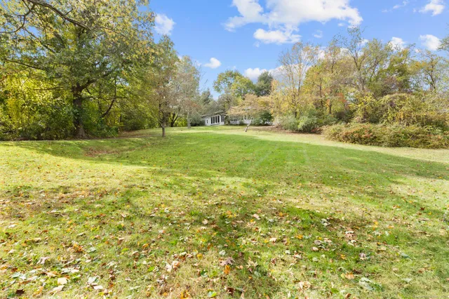 a view of yard with large trees