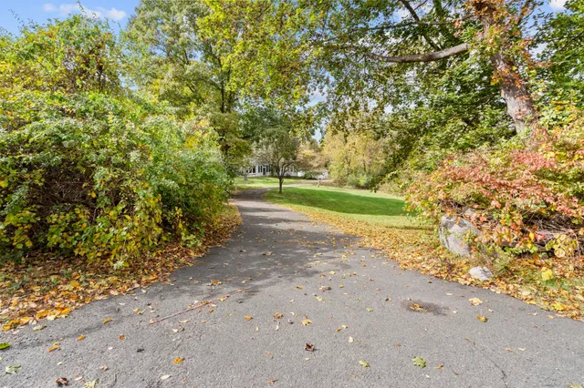a view of backyard with green space