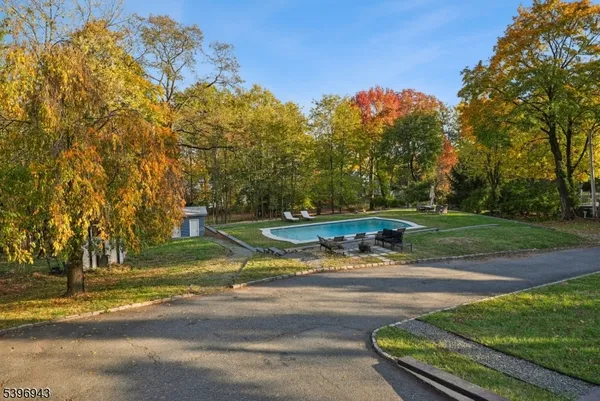 a view of a park with large trees