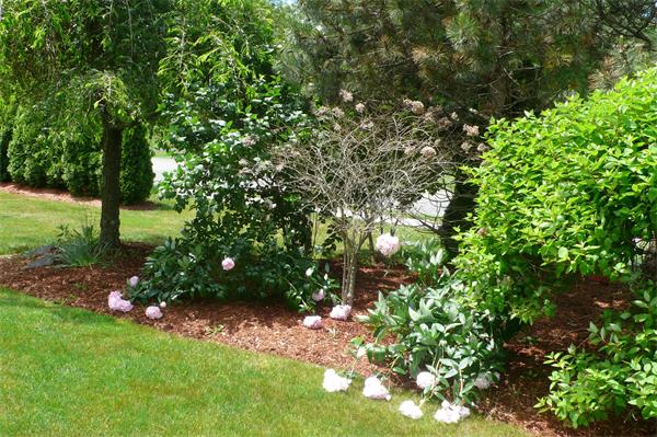 15 Pheasant Run Road Medway, MA 02053 - Photo 16 of 18 Gallery Image 16