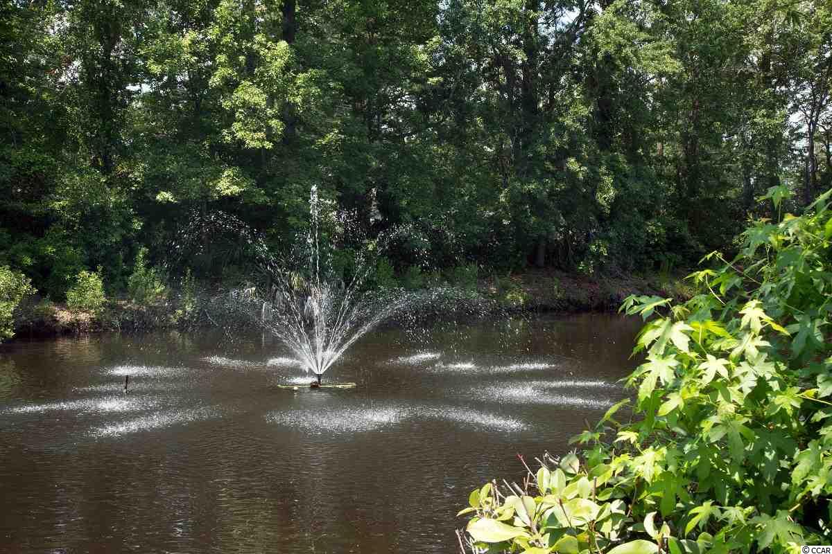 5001 North Little River Road, Unit W109 Myrtle Beach, SC 29577 - Photo 14 of 14 Gallery Image 14