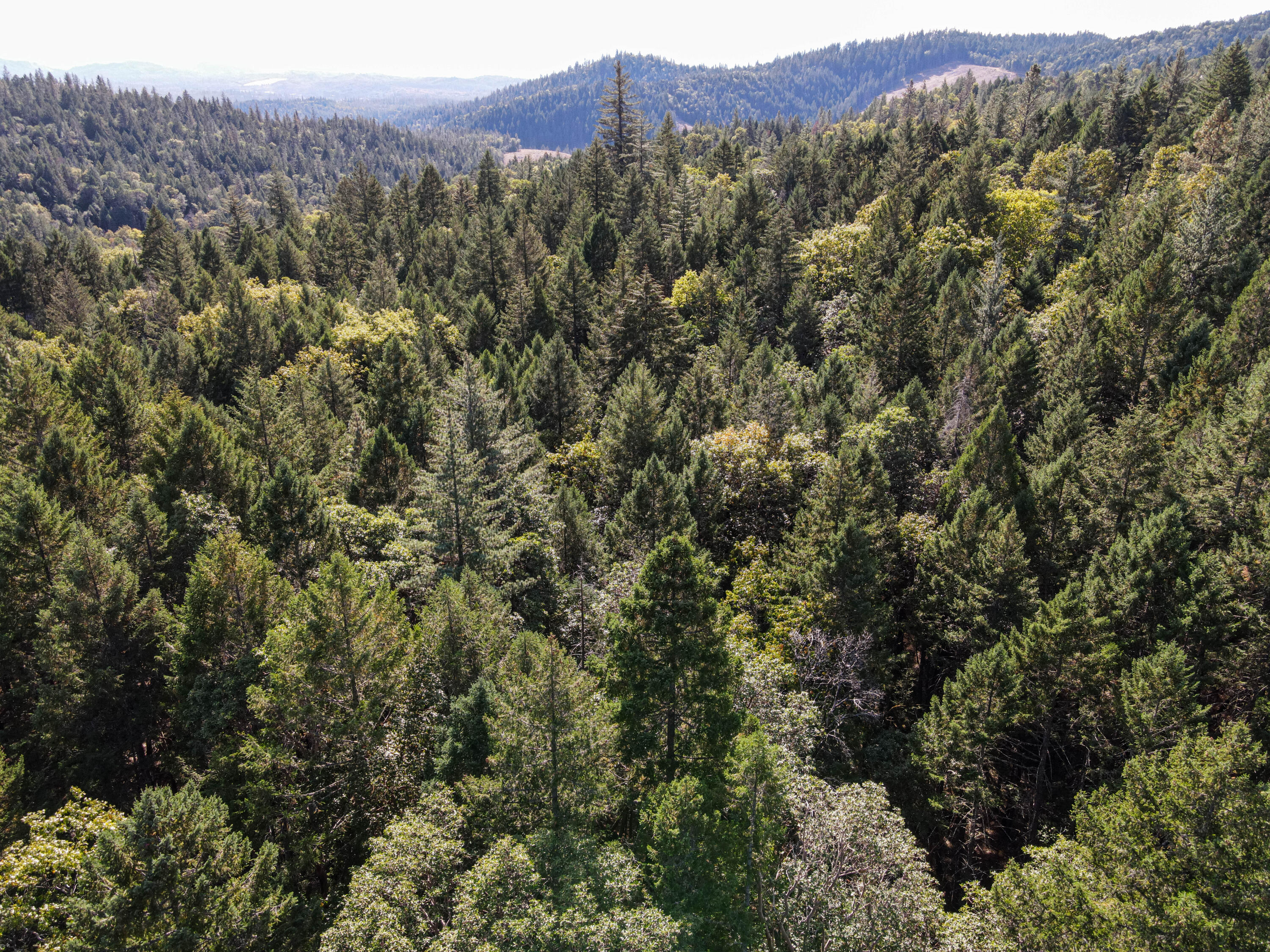 Quartz Creek Road, Unit R301574 Merlin, OR 97532 - Photo 12 of 24 dji_fly_20241015_120228_180_172901896978