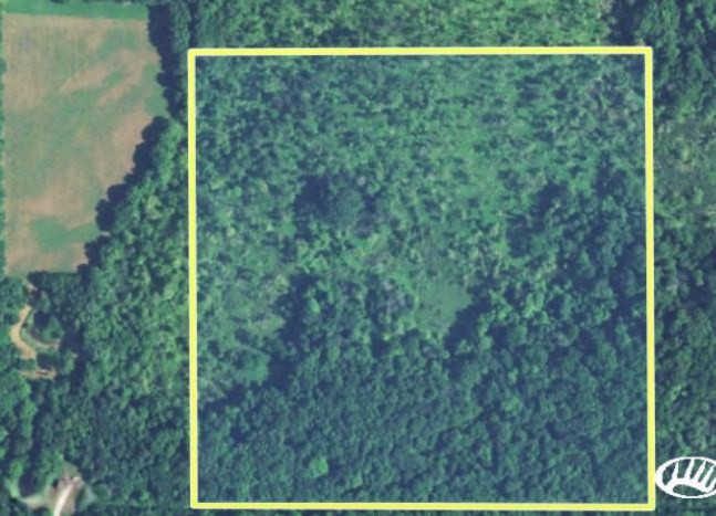 Hoffman Road Vandalia, MI 49095 - Photo 1 of 3 Screen Shot 2019-08-02 at 3.07.36 PM
