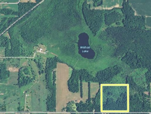 Hoffman Road Vandalia, MI 49095 - Photo 2 of 3 Screen Shot 2019-08-02 at 3.07.43 PM