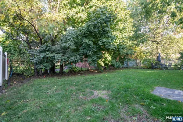 a view of a trees in a yard