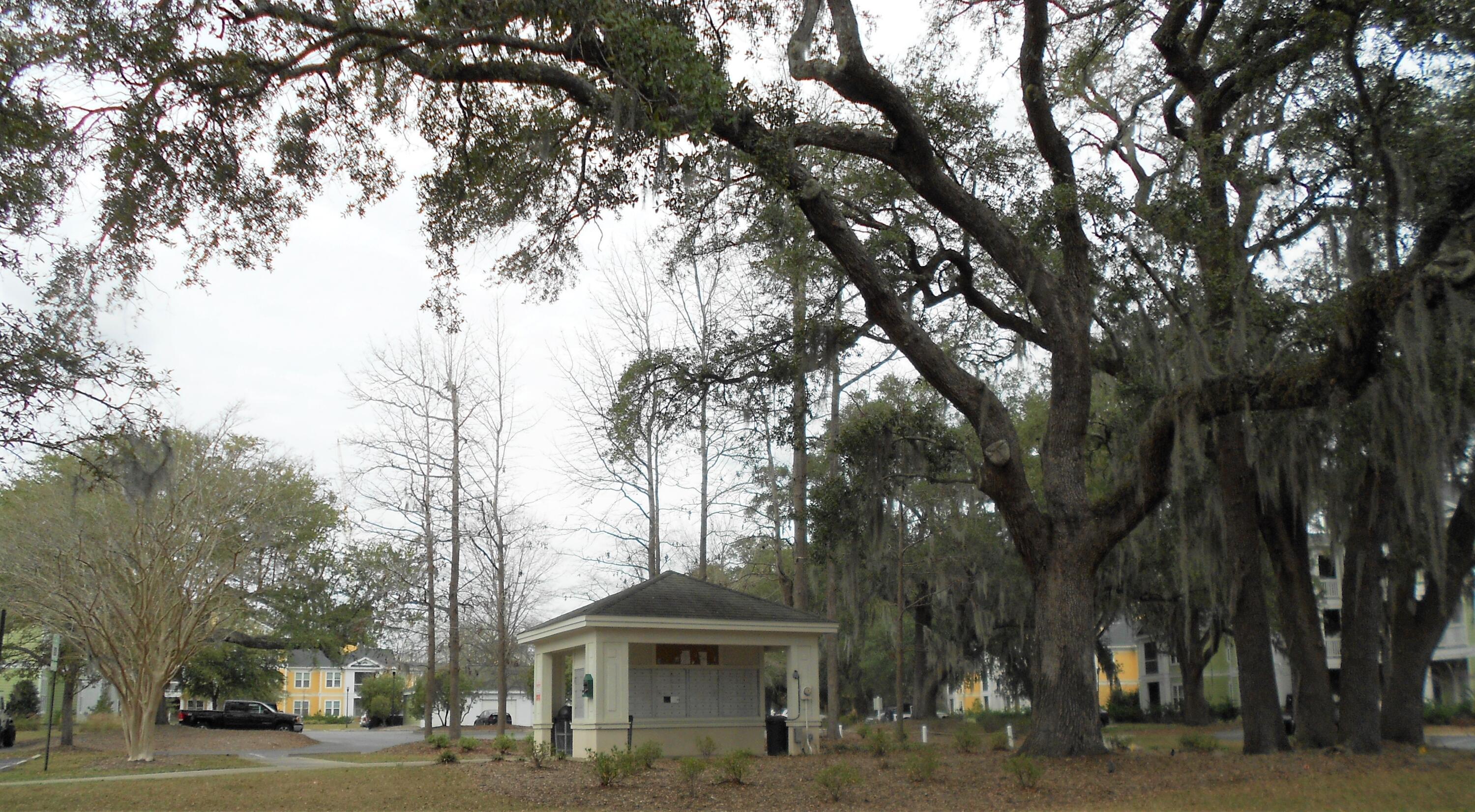 2216 Chatelain Way Mount Pleasant, SC 29464 - Photo 21 of 24 DSCN3432
