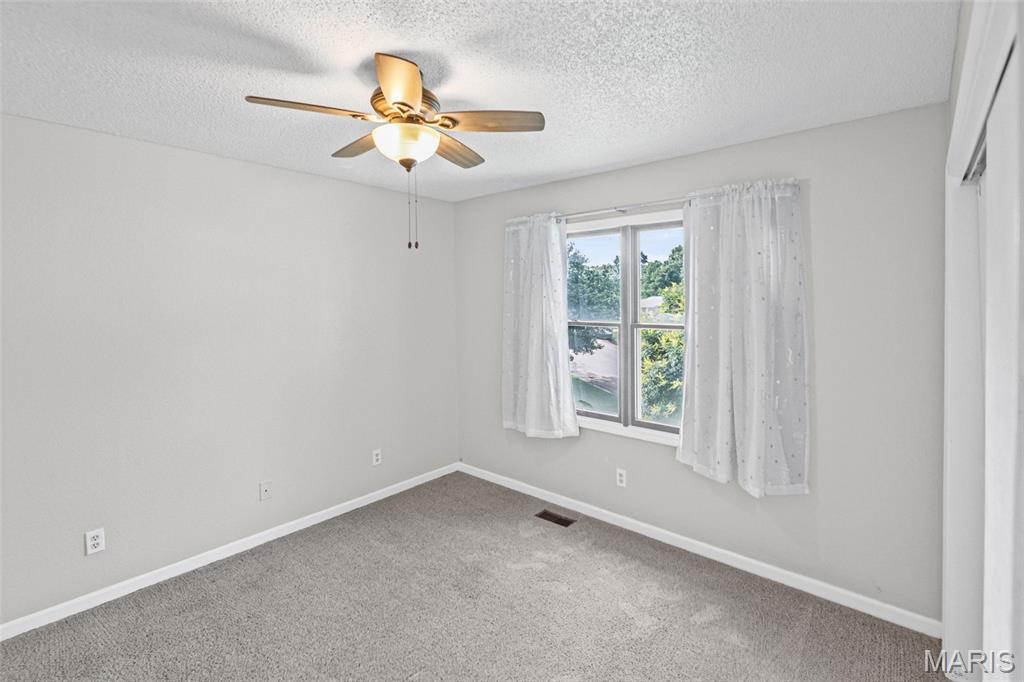 425 Weatherstone Drive Belleville, IL 62221 - Photo 28 of 47