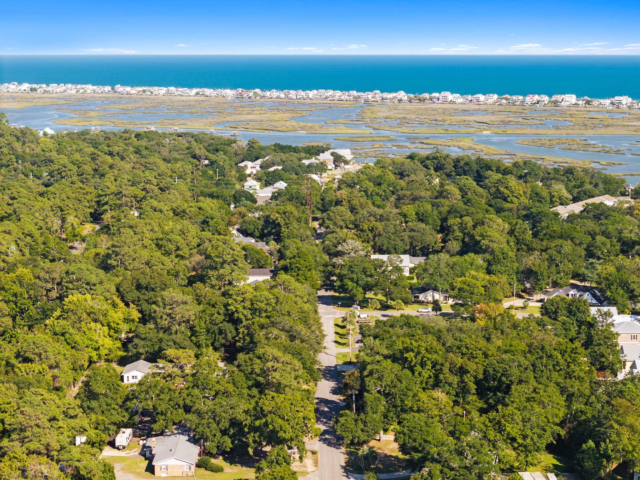Tbd Hammock Avenue Murrells Inlet, SC 29576 - Photo 10 of 19 Gallery Image 10