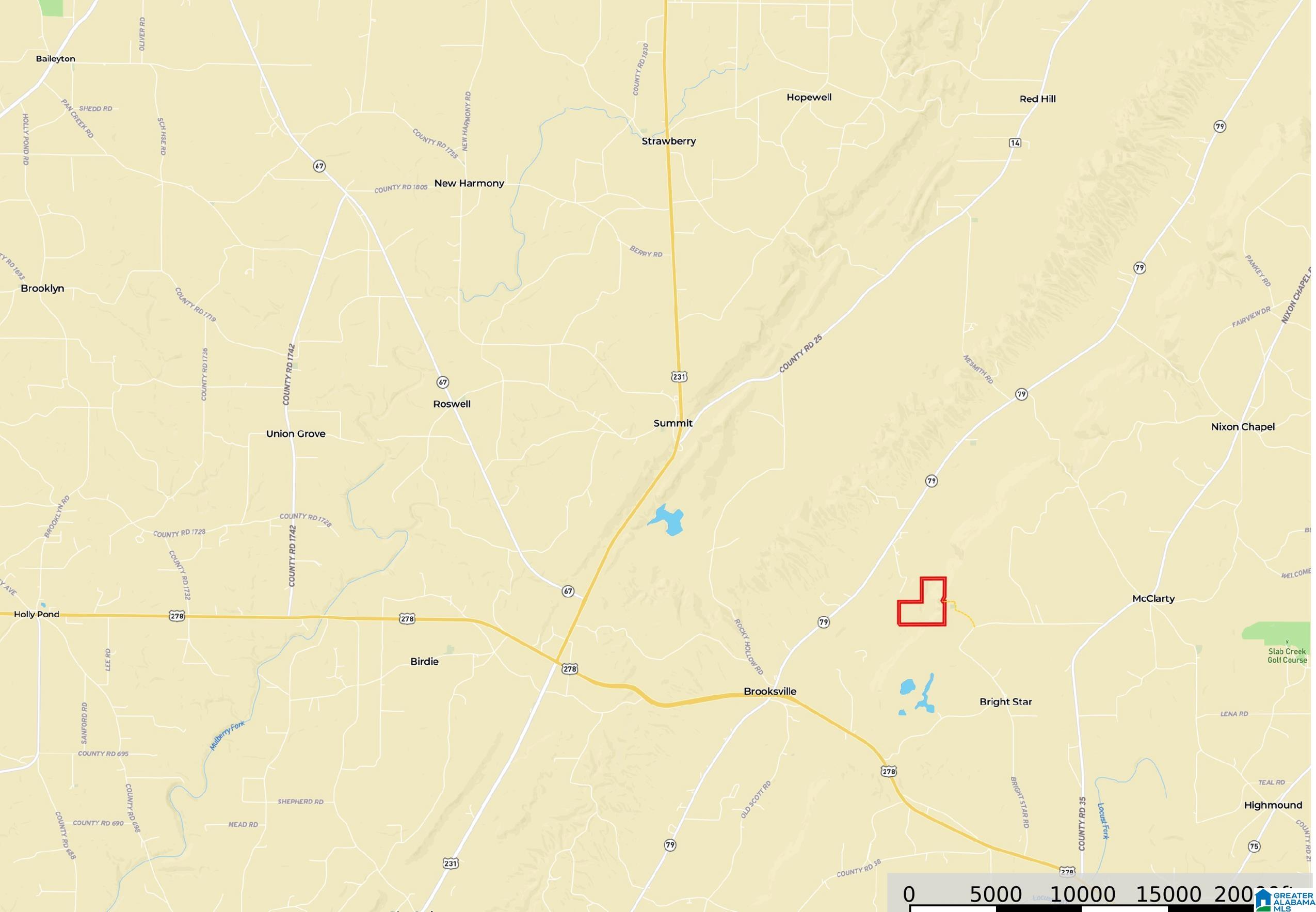 0 Bright Star Road, Unit 123 / ACRES Horton, AL 35980 - Photo 21 of 21