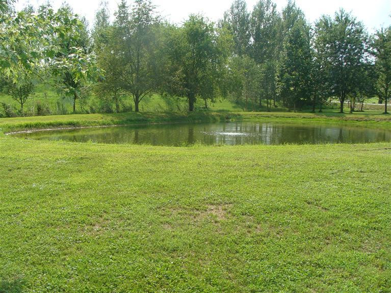 1455 Sharkey Road Morehead, KY 40351 - Photo 4 of 24 large stock pond