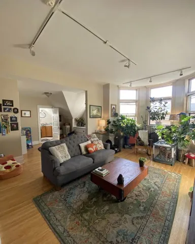 a living room with furniture and a potted plant