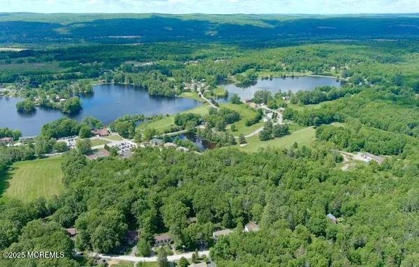 an aerial view of green landscape with trees houses and mountain view