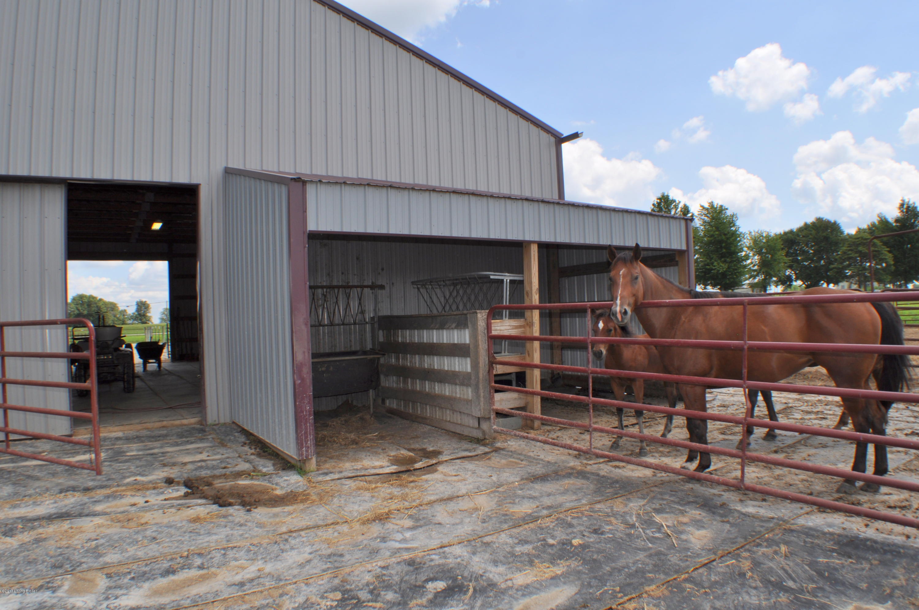 5295 Rhodelia Road Payneville, KY 40157 - Photo 29 of 33 DSC_0278