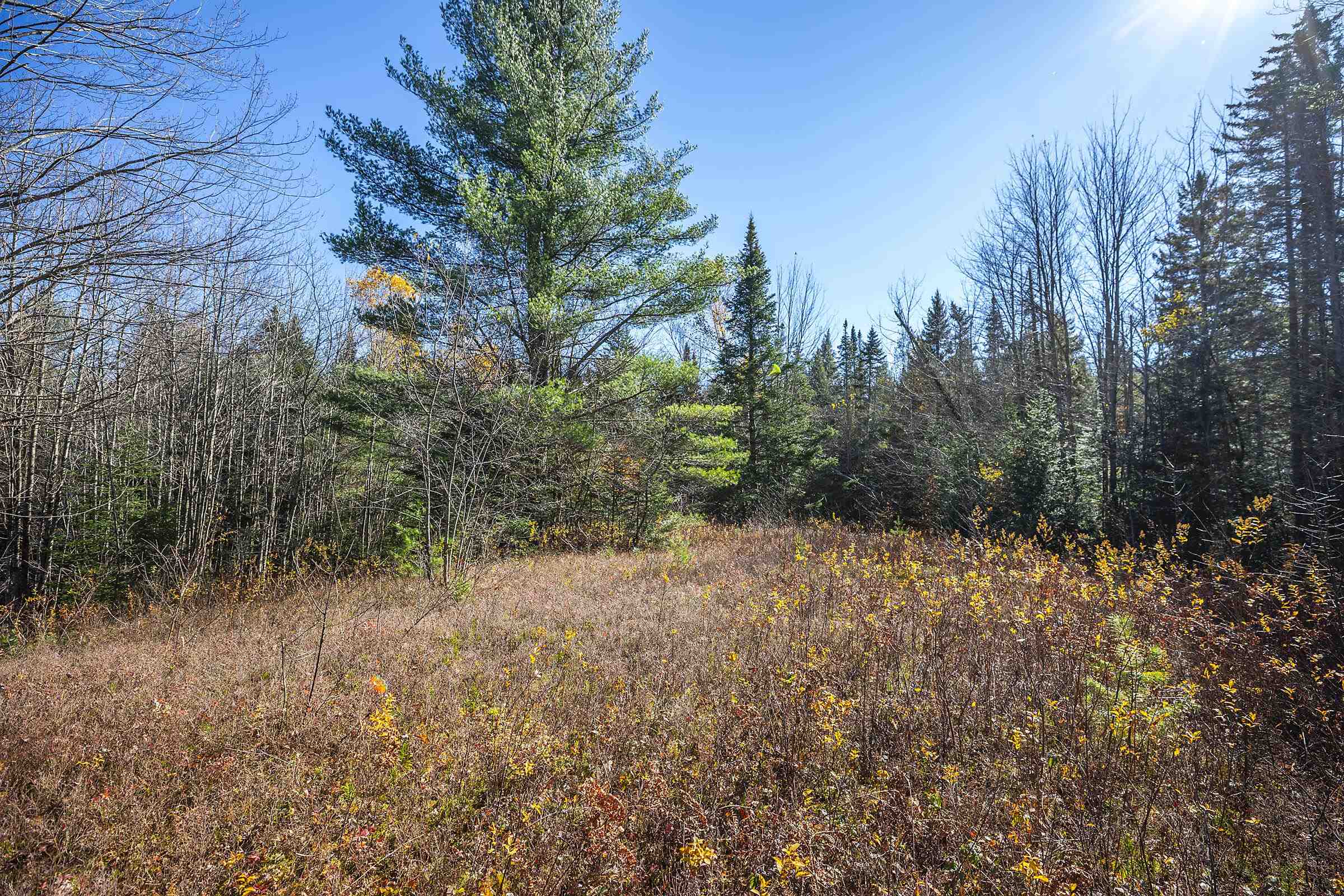 0 Ross Road Winhall, VT 05340 - Photo 11 of 25