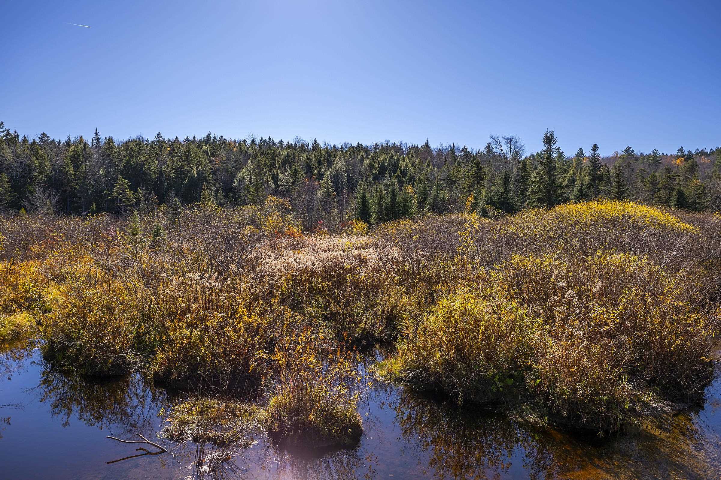 0 Ross Road Winhall, VT 05340 - Photo 13 of 25