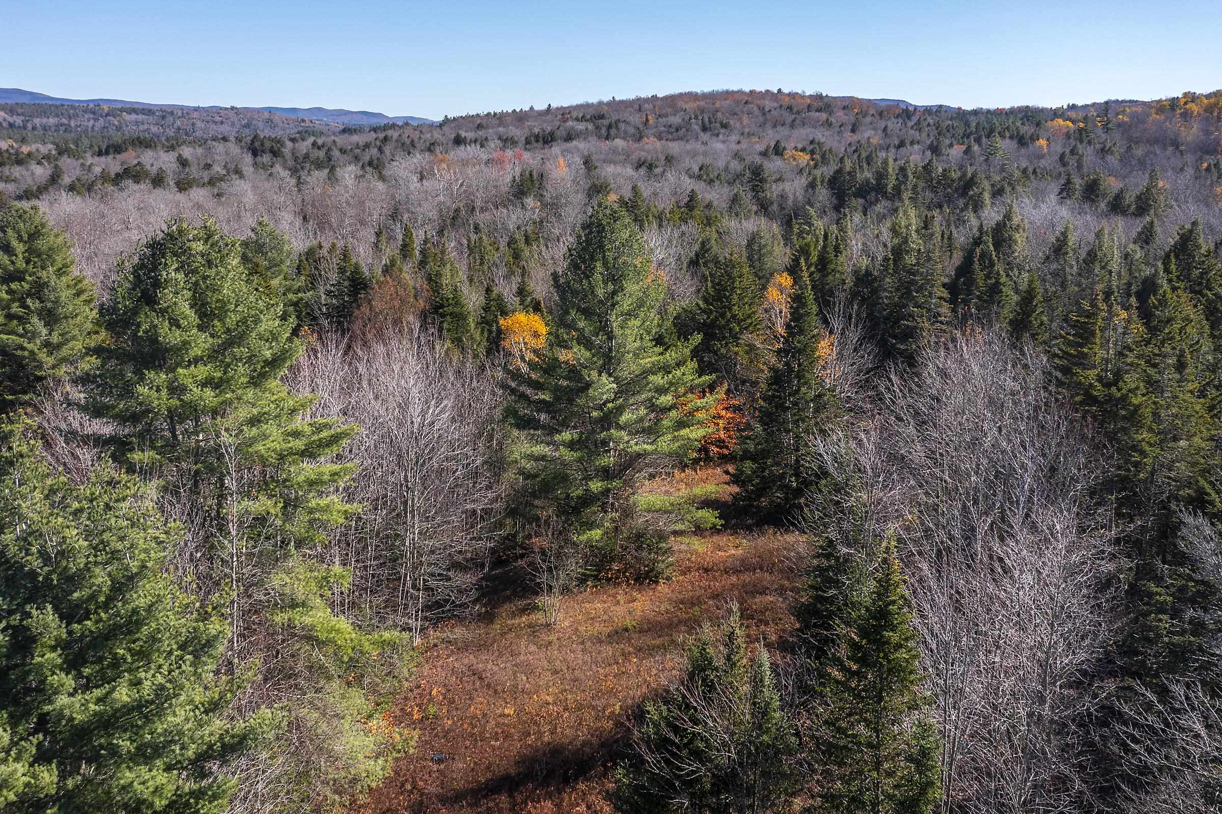 0 Ross Road Winhall, VT 05340 - Photo 14 of 25